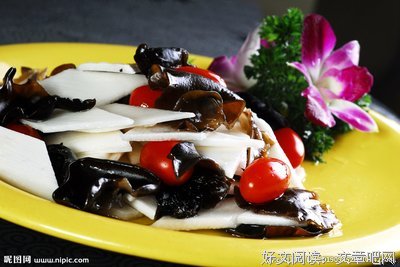 素木句子大全