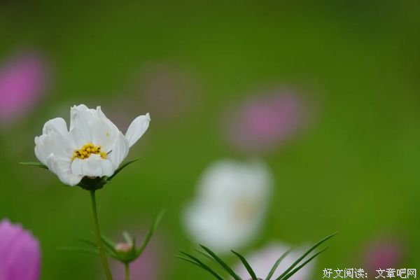 生活原来这么美