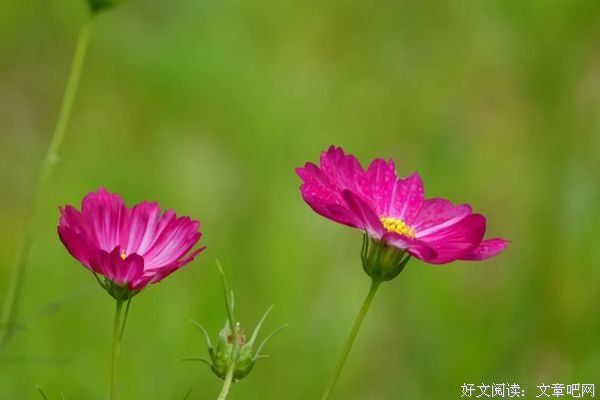 生活原来这么美