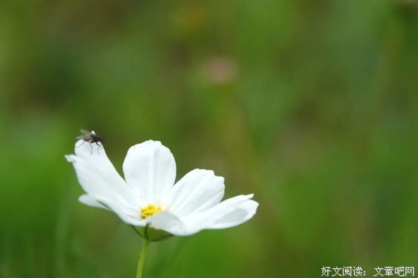 生活原来这么美