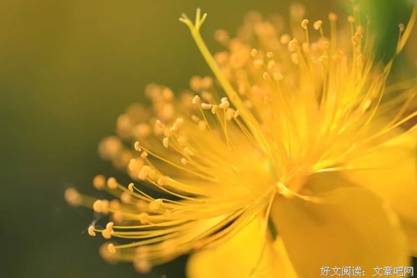 时间不会回头，人生没有如果