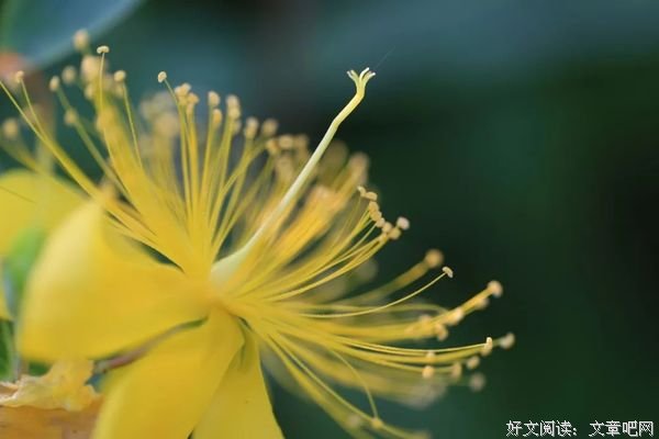 时间不会回头，人生没有如果