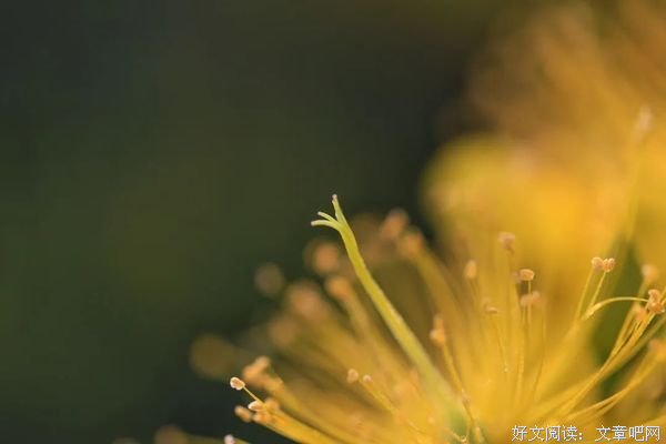 时间不会回头，人生没有如果