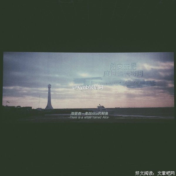 陪你度过漫长岁月经典的句子