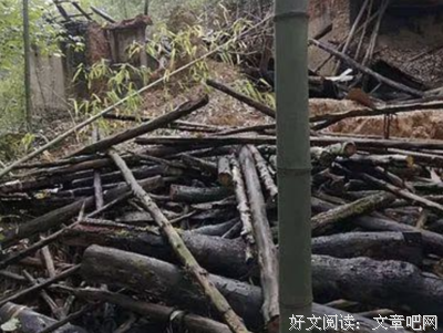 莫名被拆，谁能为我解释？