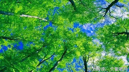 一些很好的句子