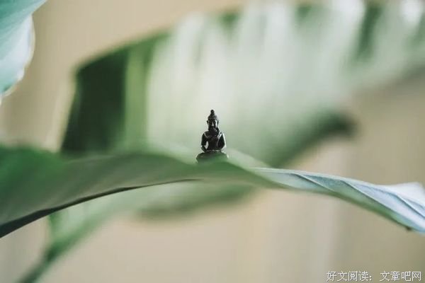 佛说：情绪，就是心魔（经典好文！）