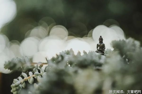 佛说：情绪，就是心魔（经典好文！）