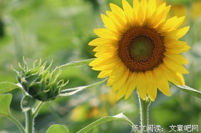 关于心在哪儿风景就在哪儿的句子