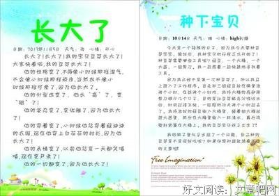 幻光流萤的优美句子