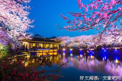 捧得旧花还经典的句子