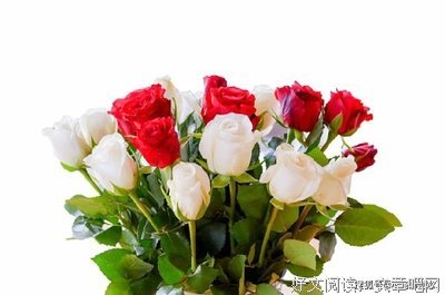还好，不好。句子大全
