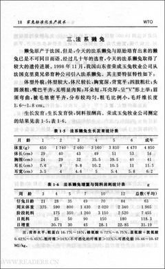 《比利时的哀愁》读后感1000字