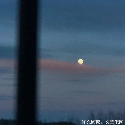 不期而遇的语句摘抄_关于不期而遇的语句