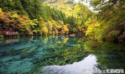 那些偶遇的佳句句子