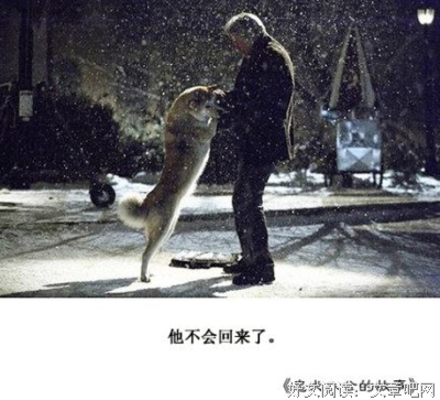 李碧华句子大全