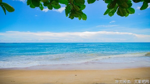 Breeze的句子
