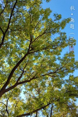 荧窗，小语