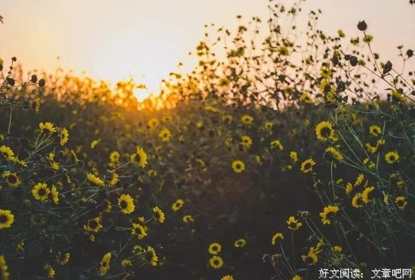 但看花开花落，莫论人间短长