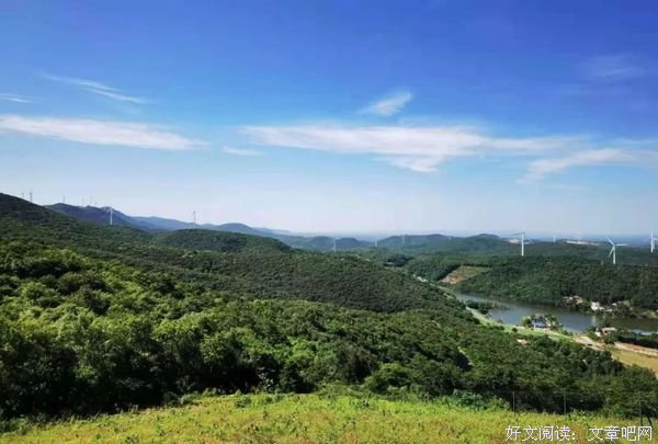 走过四季风景，体悟五味人生