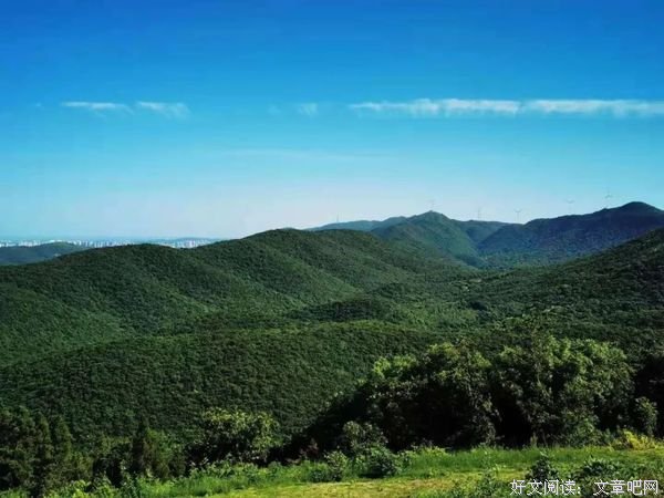 走过四季风景，体悟五味人生