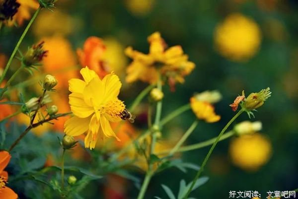 别去责怪生命里的任何人