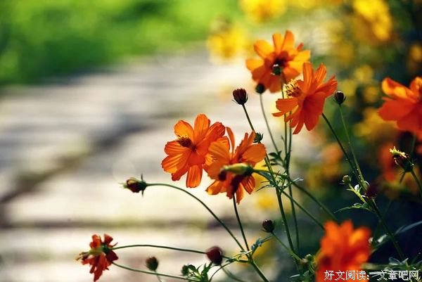 别去责怪生命里的任何人