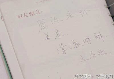 《魔术会》读后感摘抄