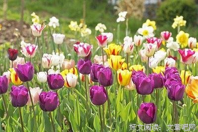 教育原理的优美句子