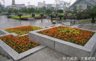 花开 伊不在的句子