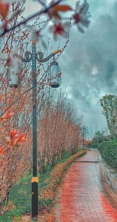 沉梦听雨句子