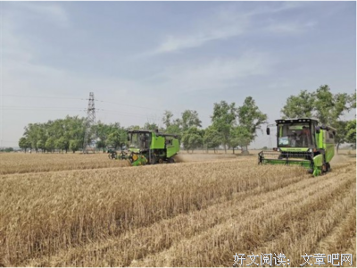 《陈滩旧梦》读后感精选