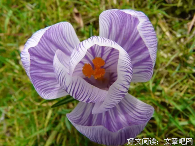 关于寝食难安的语句