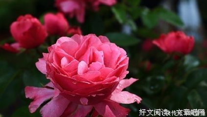 涓涓细流，唯拘一片最清。经典的句子