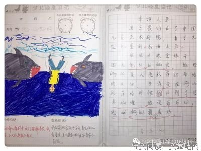 《堕落人鱼》的观后感大全