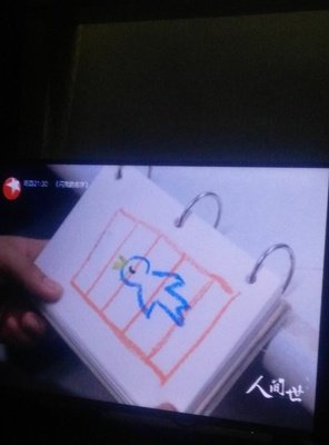 《浴火鸟》好看吗？经典观后感锦集