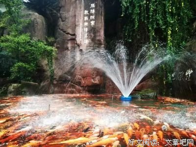 落雁公你有50句经典名言