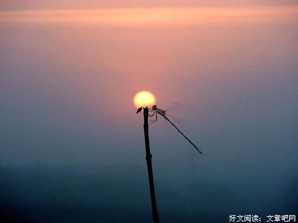 所有幸福，都源于内心知足