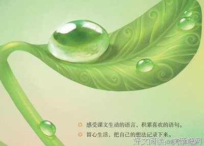 俗话说得好的语句摘抄_关于俗话说得好的语句