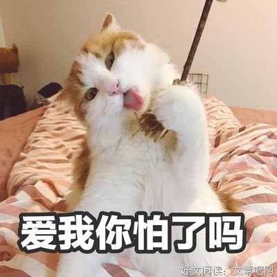 《(￣(工)￣)》的句子