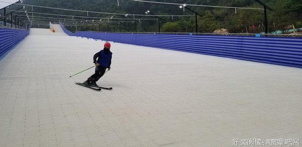 山之四季读后感锦集