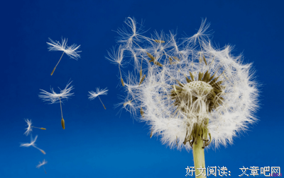 关于FIVE的句子