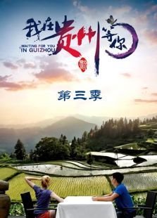 《我，在贵州等你》的影评大全