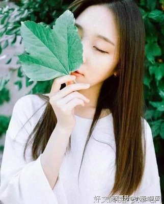 努力努力努力的优美句子