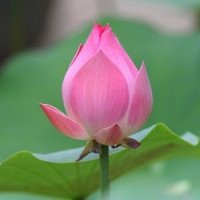 最经典的曦哥名言大全