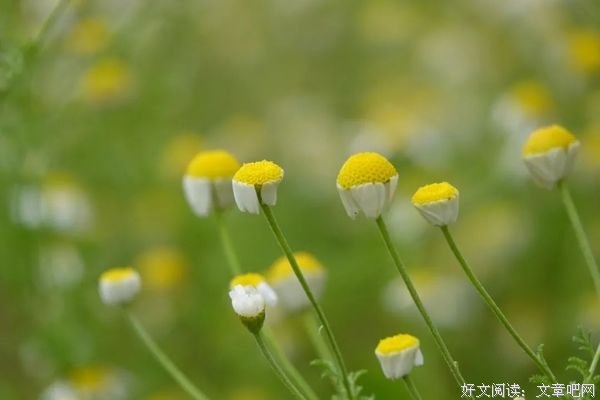 真心换真心，生活才温馨