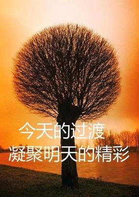 谨言慎行的句子