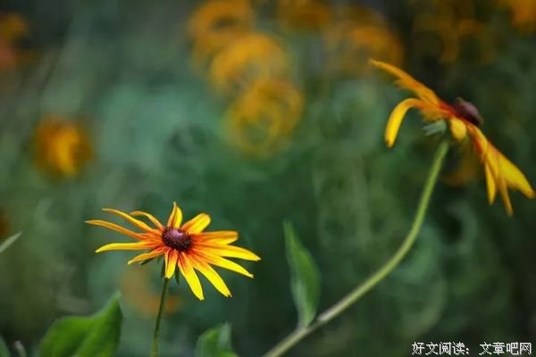 最美不过是寻常