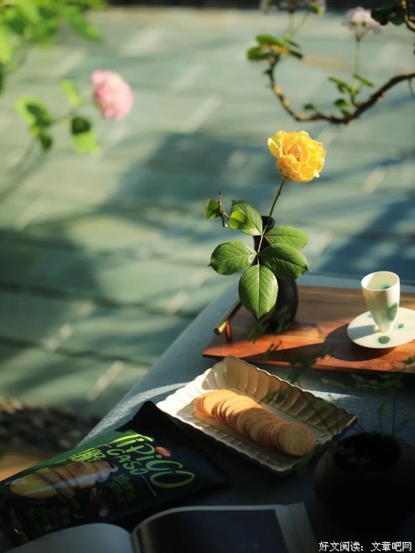 ​不要过打折的生活（非常经典）