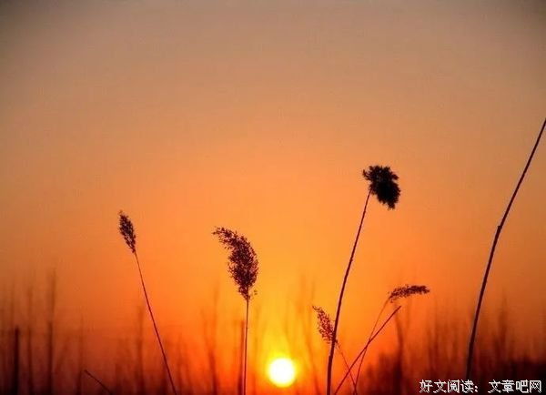 心若无尘，清风自来